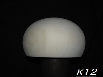 k12